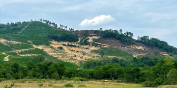 Nghệ An: Cấp phép khai thác đất san lấp bằng phương pháp lộ thiên tại khu vực rú Voi