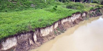 Đắk Lắk: Yêu cầu dừng hoạt động khai thác cát 2 doanh nghiệp trên sông Krông Ana