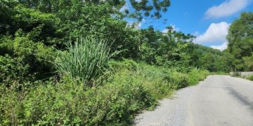 Thanh Hóa: Cần gỡ khó trong cấp quyền khai thác mỏ đất làm vật liệu san lấp