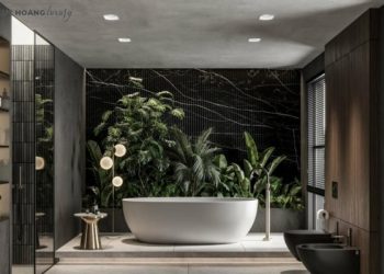 Trải nghiệm vệ sinh đỉnh cao với bồn cầu thông minh TOTO