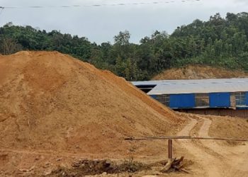 Bắc Kạn: Sản phẩm của Công ty Cổ phần Gạch ngói Chợ Đồn không đủ điều kiện hợp quy