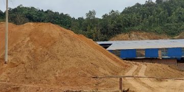 Bắc Kạn: Sản phẩm của Công ty Cổ phần Gạch ngói Chợ Đồn không đủ điều kiện hợp quy