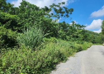 Thanh Hóa: Công nhận kết quả trúng đấu giá quyền khai thác khoáng sản mỏ đất san lấp