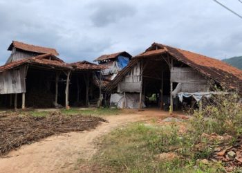 Tây Sơn (Bình Định): Chấm dứt hoàn toàn các hoạt động của lò gạch, ngói thủ công