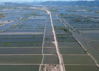 Quảng Ninh đề xuất được mở rộng thí điểm dùng cát biển làm nền đường giao thông