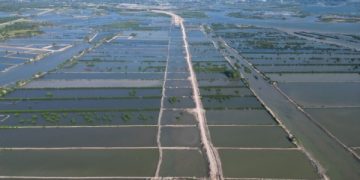 Quảng Ninh đề xuất được mở rộng thí điểm dùng cát biển làm nền đường giao thông