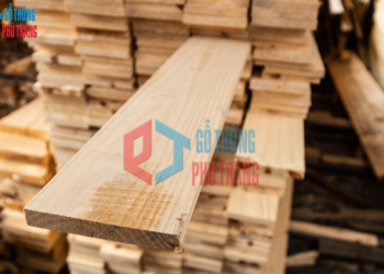 Gỗ pallet tại Công ty Phú Trang: Vật liệu xây dựng phổ biến, hiệu quả